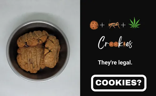Cricket Cookies infused with federally legal cannabinoids.