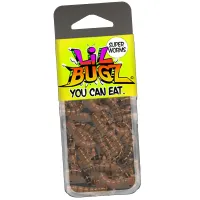 Edible Super Worms by Lil Bugz You Can Eat