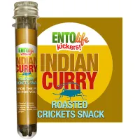 Indian Curry Mini-Kickers Flavored Cricket Snacks