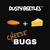Cheese Bugs: Cheese dusted dehydrated silkworm pupae