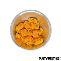 Cheetles: Original cheese dusted june beetle snack