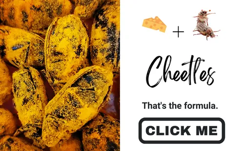 Cheese + Beetles = Cheetles. That's the formula.