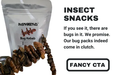 A delicious collection of insect snacks ready to be shipped from the USA.