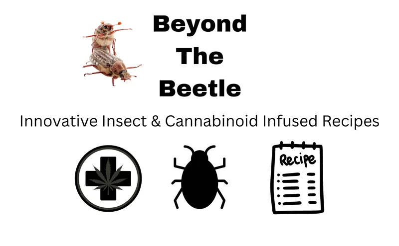 Beyond The Beetle
